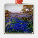 Suche nach blaue blumen ornamente Texas