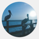 Suche nach pelikan aufkleber Ozean