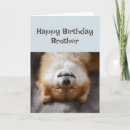 Suche nach alles gute zum hunde geburtstag karten Für ihn