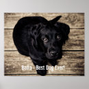 Suche nach labradore poster Labrador retriever