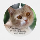 Suche nach haustier andenkensanhänger Katze