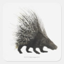 Suche nach risiko aufkleber Schutz