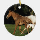 Suche nach appaloosa ornamente Bob langrish