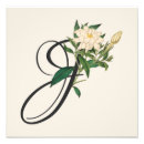 Suche nach monogramm j poster Botanisch