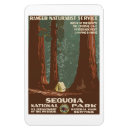 Suche nach sequoia magnete Reise