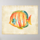Suche nach bunte fische poster Orange