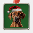 Suche nach rhodesian ridgeback hund ornamente Weihnachten