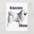 Suche nach amerikanische eskimo postkarten Hund