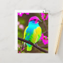 Suche nach grüner vogel postkarten Generativitätsinhalt