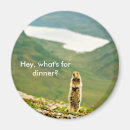 Suche nach eichhörnchen spaß magnete Humorvoll