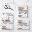 Suche nach dachshund geschenkpapier Muster