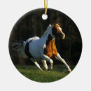 Suche nach malen ornamente Pferd