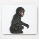 Suche nach spinne mousepads Affe