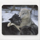 Suche nach wölfe schnee mousepads Wolf