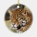 Suche nach jaguar an ornamente Tier