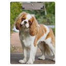 Suche nach taschen klemmbrett Braun