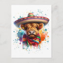 Suche nach cinco postkarten Sombrero