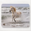 Suche nach pferd mousepads Camargue