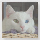 Suche nach mit augen untersetzer Ruhe