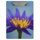 Suche nach lila blumen klemmbrett Blumenreich