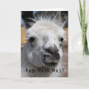 Suche nach bad day karten Schlechter haartag