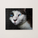 Suche nach siamese cat puzzle Haustier
