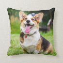 Suche nach corgi kissen Tierliebhaber