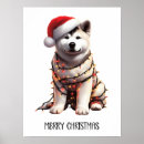 Suche nach akita poster Kaninchen