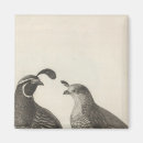 Suche nach staat kalifornien magnete Darstellung