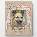 Suche nach beileid fotoplatten Gedächtnis