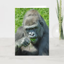 Suche nach primates karten Animals