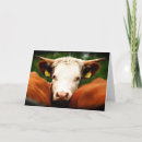 Suche nach cowgirl karten Western
