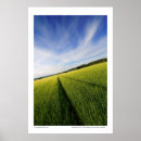 Suche nach vorbereitung poster Natur
