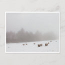 Suche nach schäfer postkarten Schnee