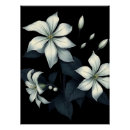 Suche nach jasmin poster Botanisch