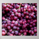 Suche nach weintraube poster Obst