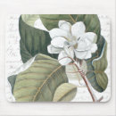 Suche nach magnolien mousepads Blume