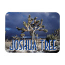 Suche nach joshua tree magnete Kalifornien