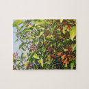 Suche nach kolibri puzzle Blumen