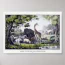 Suche nach pädagogisch poster Wild