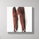 Suche nach beine poster leinwandbilder Zart