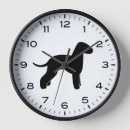 Suche nach dog breed Hund