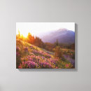 Suche nach feld leinwandbilder Landschaft