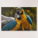 Suche nach vogel puzzle Farbenfroh