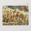 Suche nach tropical fish poster Coral