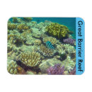 Suche nach cairns magnete Australien