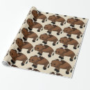 Suche nach bison geschenkpapier Prärie