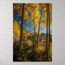 Suche nach wald im herbst poster Grün