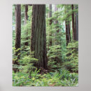 Suche nach vancouver island poster Britische kolumbien