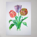 Suche nach tulip poster Pflanze